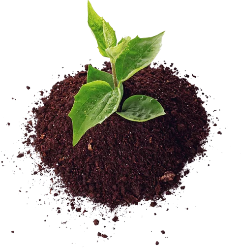 Destacados Agropuelma